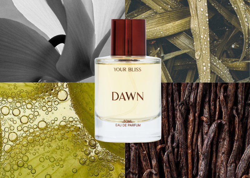 Dawn 50ml Eau De Parfum